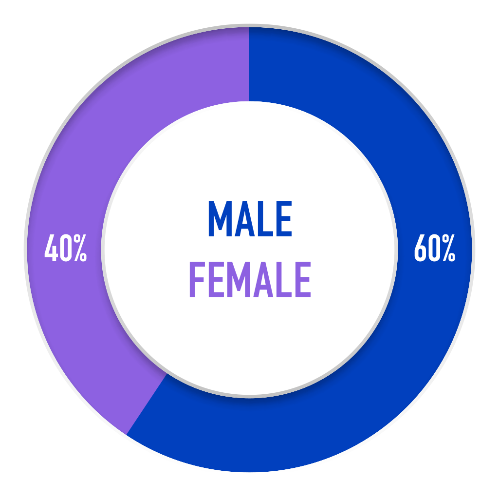 Global employees by gender - 60% male, 40% female